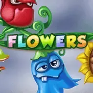 FlowersNetEnt thumbnail